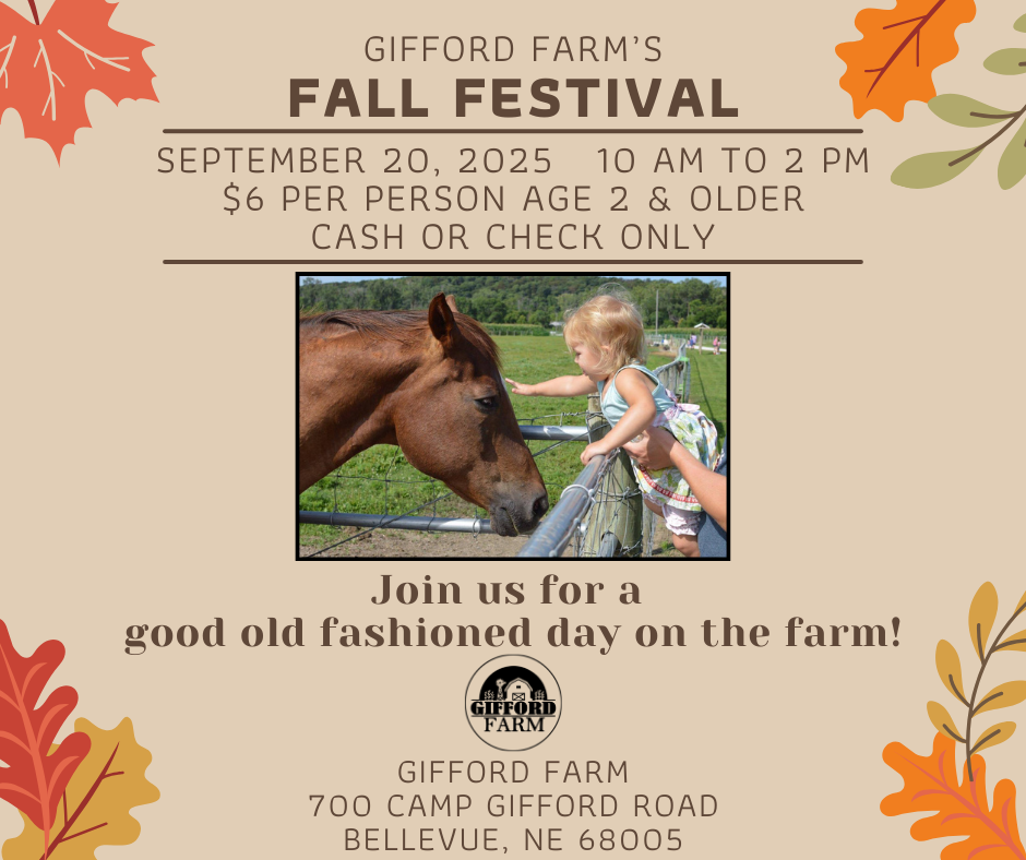 Fall Festival flyer
